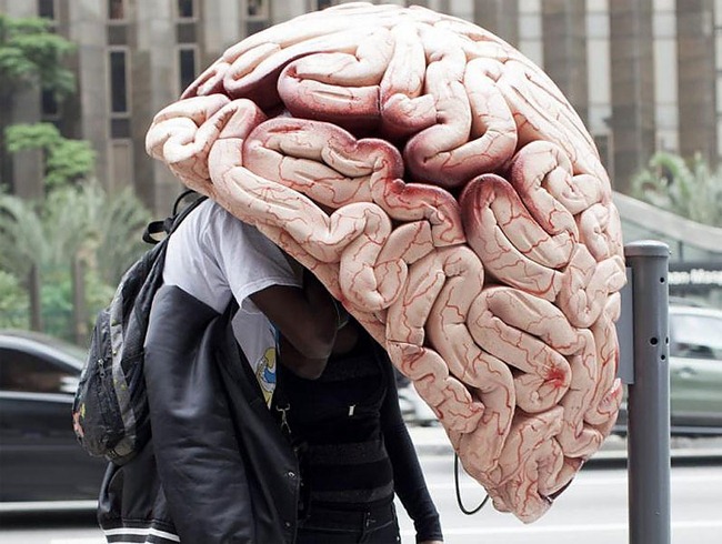 Gehirn (3)