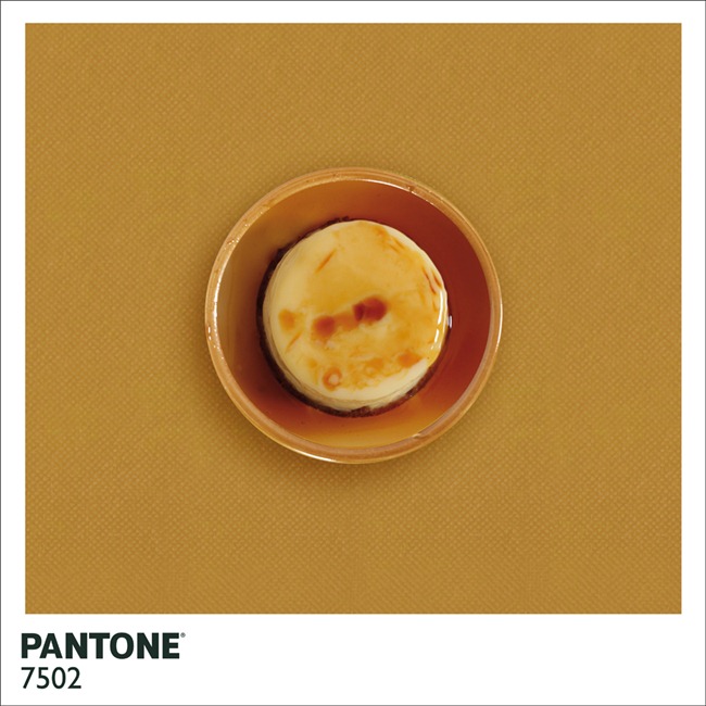 Pantone  (4)