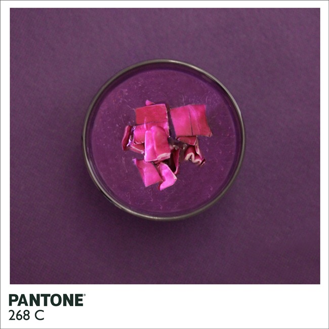 Pantone  (5)