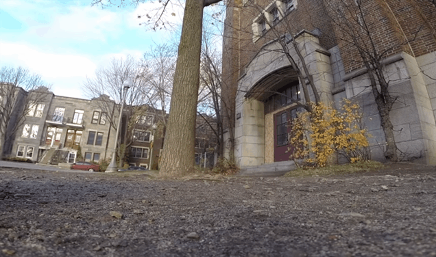 Eichhörnchen klaut GoPro-Kamera